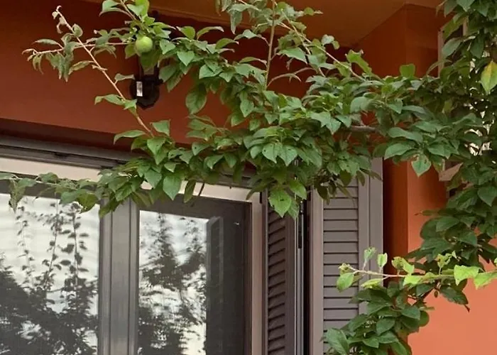 Lefkas Apartment